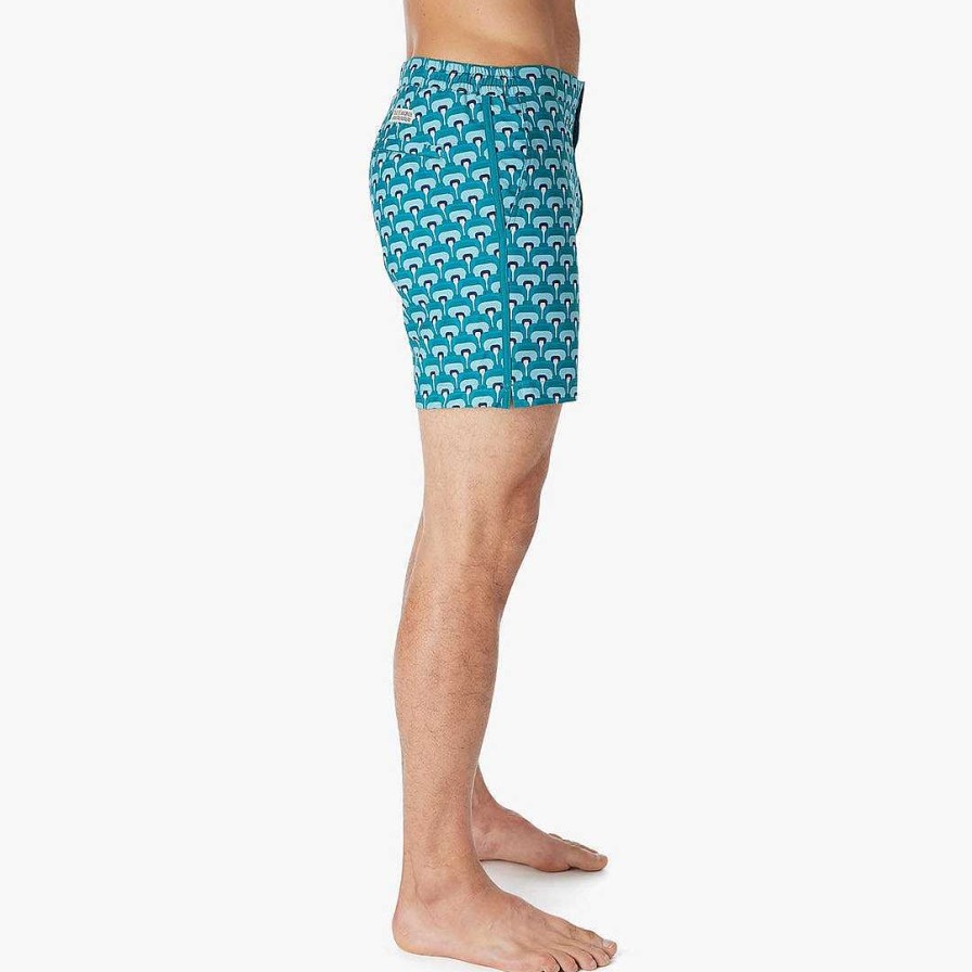 Swim Fair Harbor 6" Inseam | The Sextant Trunk